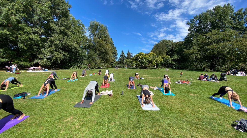 Yoga in the Park