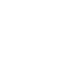 Maximum Intensity